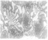 Analysis on the causes of breakage of work rolls in plate and strip ...